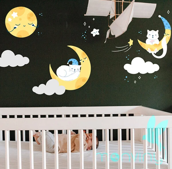 Cielo Gatos