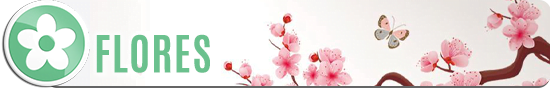 01-Flores