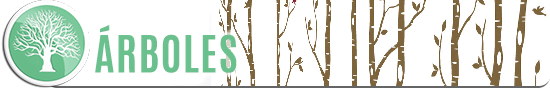 02-Árboles