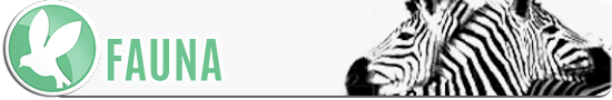 04-Fauna